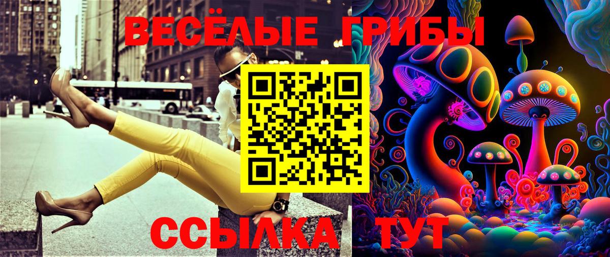 Псилоцибиновые грибы мухоморы  Вход с VPN  Фрязино 